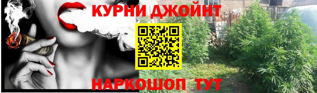 Канабис марихуана Павлово